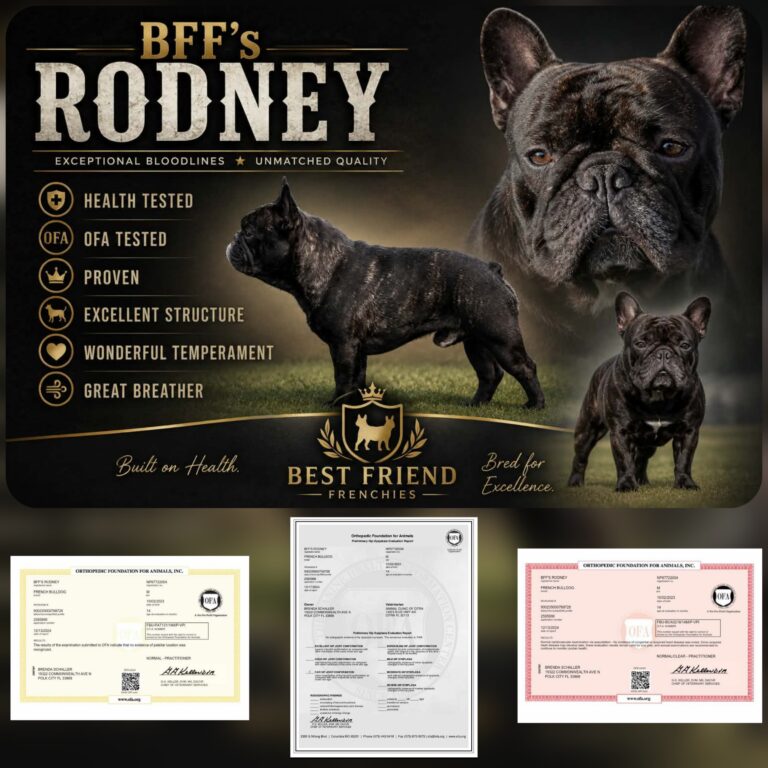 BFF’s Rodney