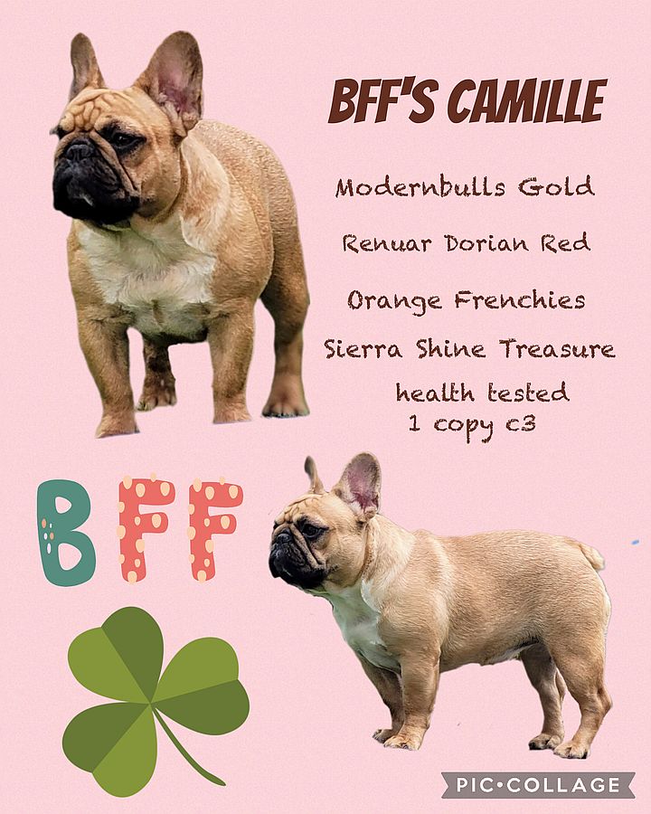 Camille