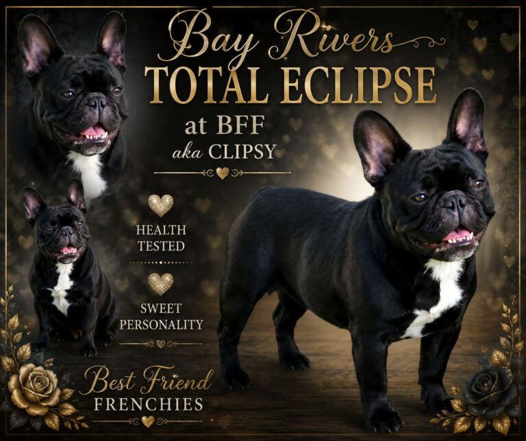 Bay Rivers Total Eclipse at BFF AKA Clipsy