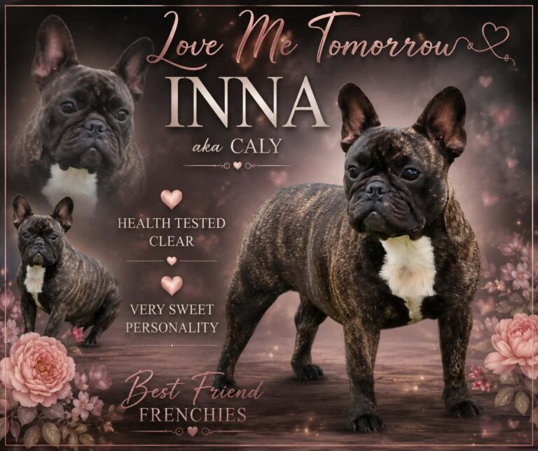 Love me Tomorrow Inna AKA Caly