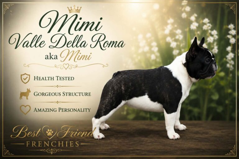 Valle Delta Roma AKA Mimi