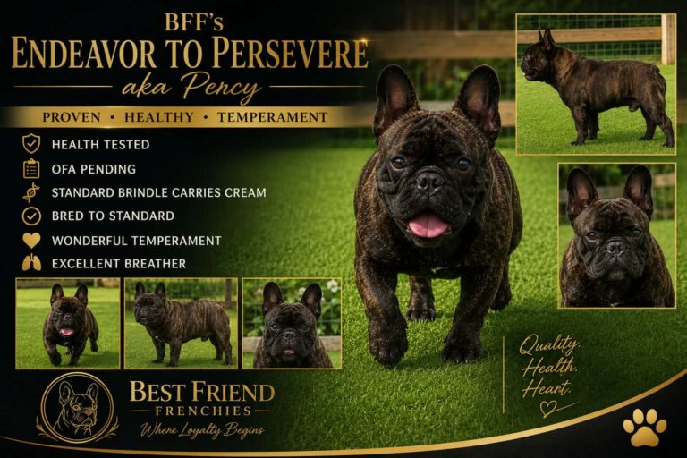 BFF’s Endeavor to Percervere AKA Percy