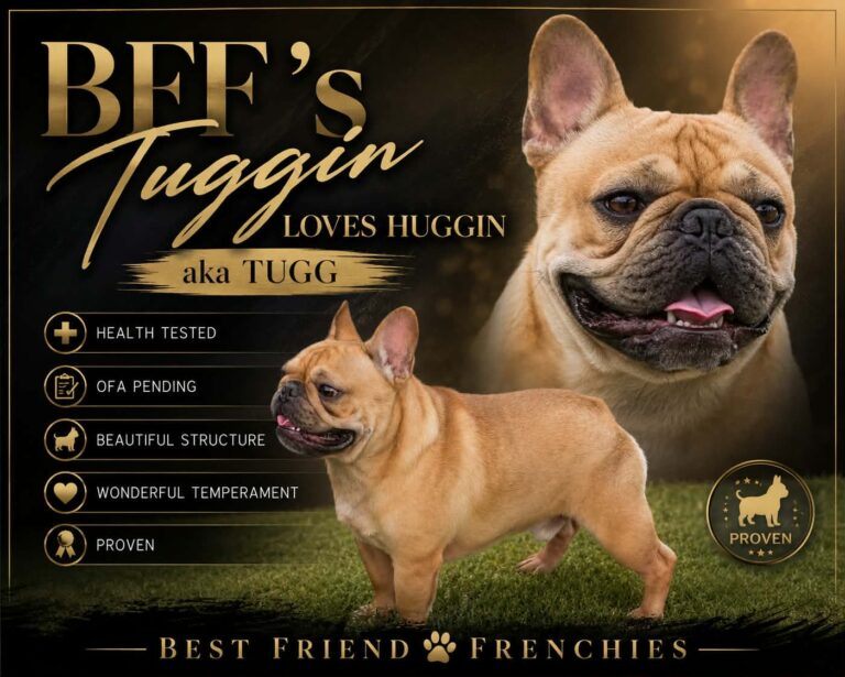 BFF’s Tuggin Loves Huggin AKA Tugg